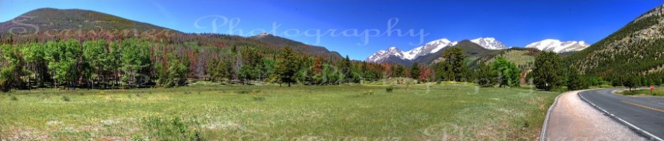Header image alt text