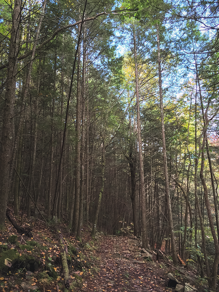 Grand Gulf State Park