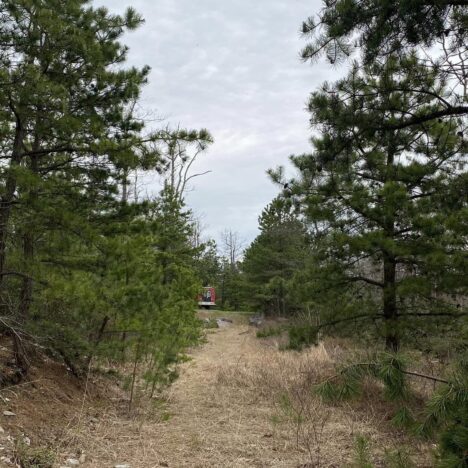 April 18 – Day 49