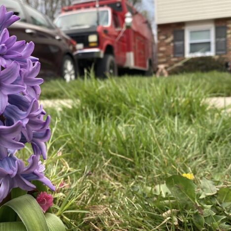 March 29 – Day 29