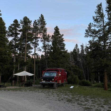 Day 17: Field Day Wrap-Up, Camp Walks, and Bear-Smart Clean-Up