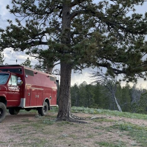 Day 2 – Wool, Wagons, and Wyoming