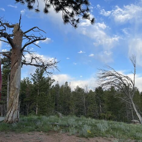 Day 5: A Stormy, Cozy Day at Camp